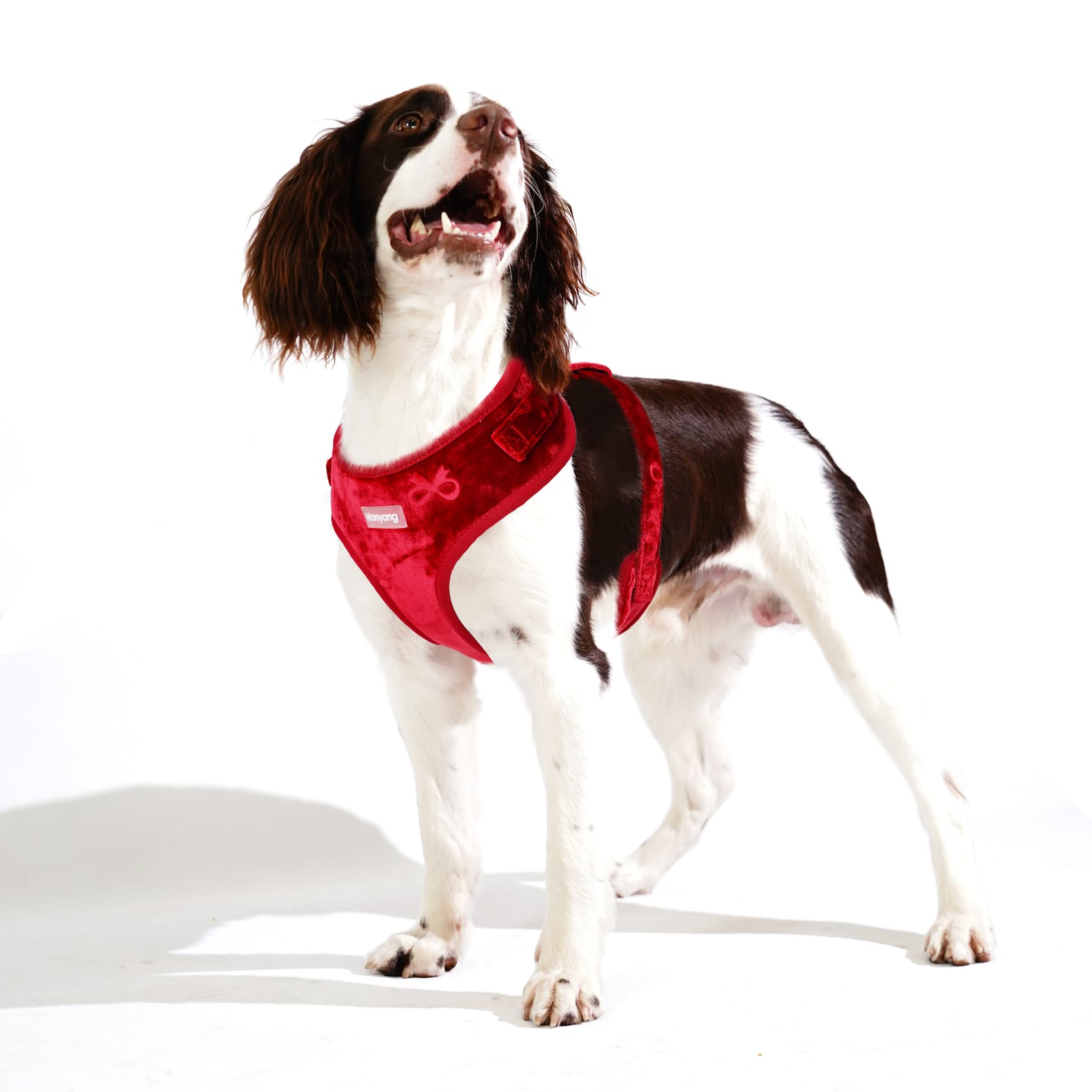 custom pet harness wholesale