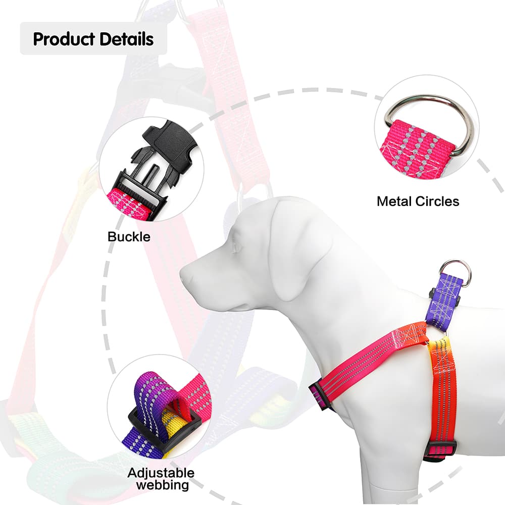 Custom Colorful Strap Dog Harness
