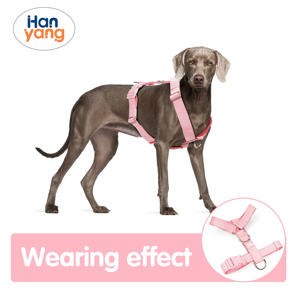 custom harness